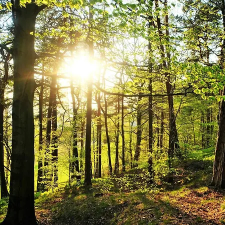 Apartamento Am Nationalpark Saechsische Schweiz Sebnitz